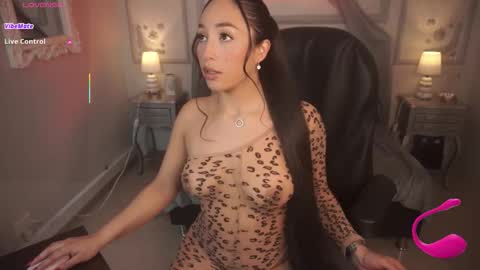   online show from November 12, 8:11 pm