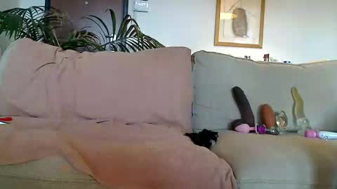 Snapshot of male_in_stockings chatting on December 7, 12:51 pm Sissy in stockings online show from December 7, 12:51 pm