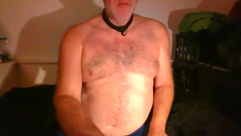 CommandbondageNipples bondage kink submissive lovense slave wgear. modequiethvyBondage If Password goldfish online show from September 9, 7:08 am