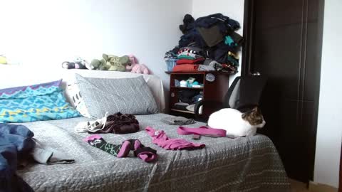 Malita online show from April 6, 4:19 pm