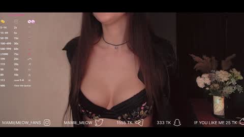 Snapshot of mamiemeow chatting on January 29, 3:58 pm Your Miss Alice online show from January 29, 3:58 pm