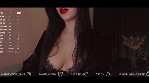 Snapshot of mamiemeow chatting on January 22, 3:40 pm Your Miss Alice online show from January 22, 3:40 pm