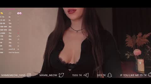 Snapshot of mamiemeow chatting on February 6, 11:42 am Your Miss Alice online show from February 6, 11:42 am
