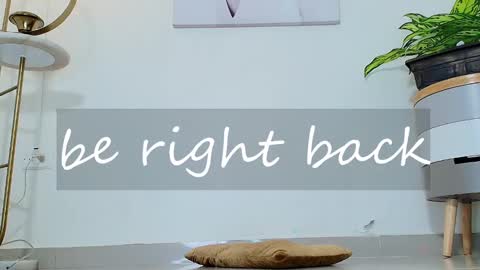 Marce algara online show from February 12, 10:46 am