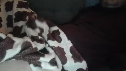 marek online show from January 8, 2:39 am