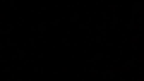 Elle online show from October 11, 2:22 pm