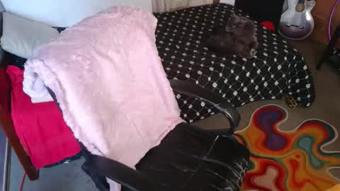 mariaajuana_ online show from March 29, 6:09 pm