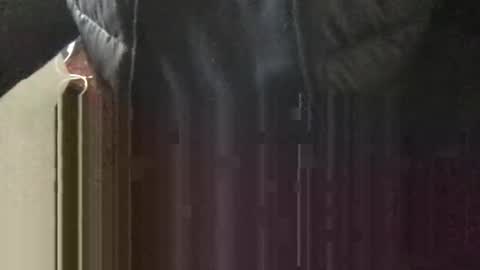 marklondonguy2023 online show from April 13, 3:49 pm