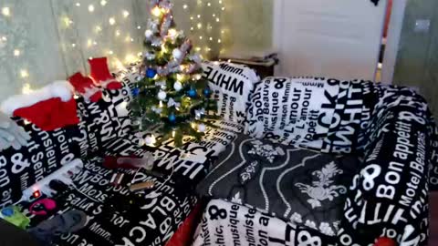 MarleneHudsonAh online show from December 24, 8:16 pm