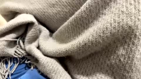 Snapshot of marriedthickdick37 chatting on January 12, 10:12 pm marriedthickdick37 online show from January 12, 10:12 pm
