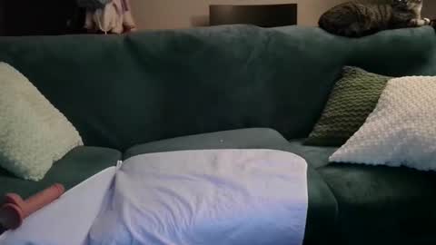 alex online show from February 4, 10:19 am