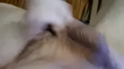 masturbator469658 online show from December 18, 2:56 pm