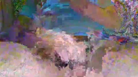 BJ Whiterpoon online show from September 30, 9:36 pm