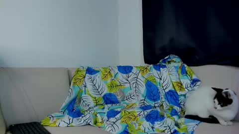 mattdevon7 online show from May 2, 2:50 am