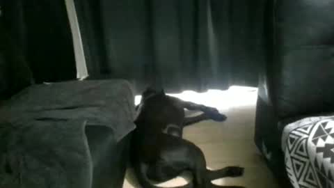 Max online show from November 30, 11:56 pm