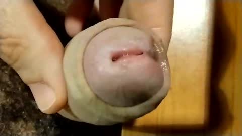 Max online show from October 25, 7:58 pm