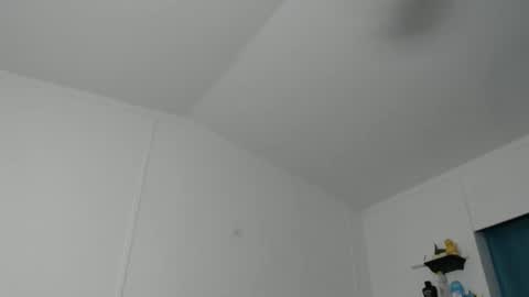 Max and Pam Voyeur Cam online show from November 7, 4:42 pm