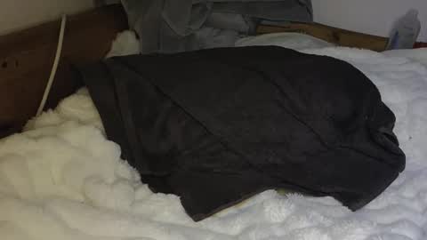 maybeanal online show from October 26, 12:22 am