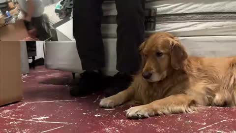 me4master online show from October 10, 4:35 pm