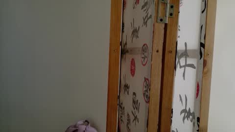 Megan online show from October 10, 11:05 am