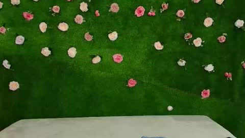 megatitts_ online show from February 3, 6:22 am