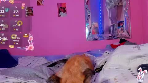 Luisa  online show from March 2, 6:16 am