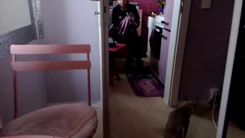 Melli online show from October 10, 2:56 pm