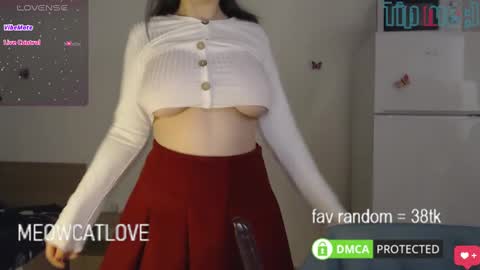 Snapshot of meowcatlove chatting on January 21, 4:05 pm meowcatlove online show from January 21, 4:05 pm