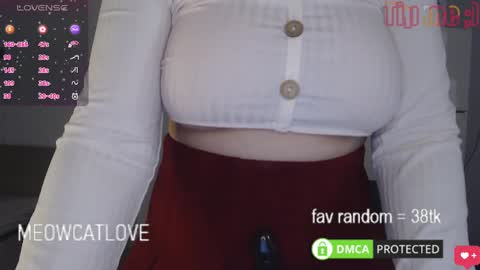 Snapshot of meowcatlove chatting on March 8, 6:37 pm meowcatlove online show from March 8, 6:37 pm