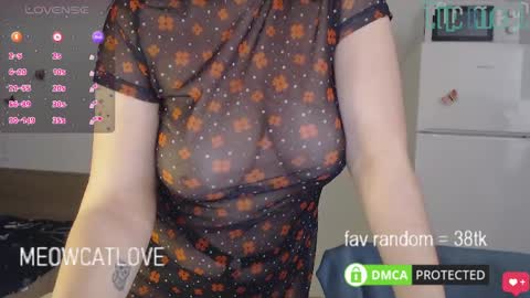Snapshot of meowcatlove chatting on January 27, 6:31 pm meowcatlove online show from January 27, 6:31 pm