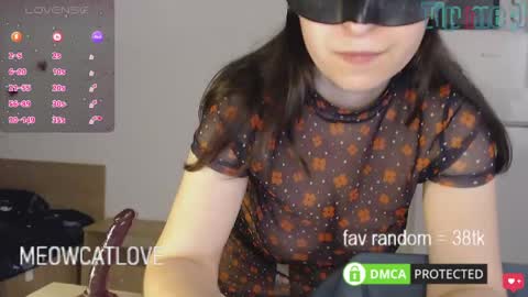 Snapshot of meowcatlove chatting on January 24, 9:37 pm meowcatlove online show from January 24, 9:37 pm