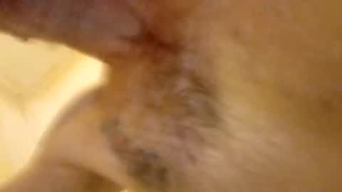 mh543724 online show from March 6, 8:09 am