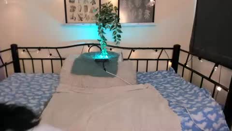 Miaa online show from June 15, 10:24 pm