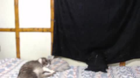 Mia  Sam online show from October 9, 10:04 pm