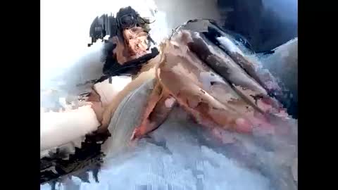 micaela2140 online show from September 24, 4:25 pm