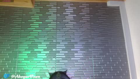 Snapshot of miia_zarate chatting on January 22, 9:10 pm Ma - online show from January 22, 9:10 pm