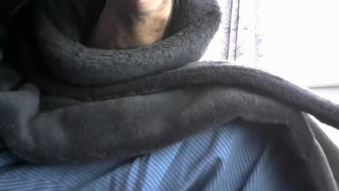 mike26051 online show from November 20, 1:21 pm