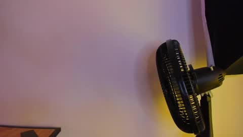    online show from April 13, 11:25 am