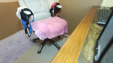 Michael online show from November 18, 3:37 pm