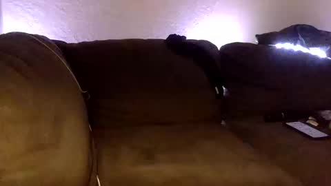 BabygirlsFreaky online show from October 11, 1:49 pm