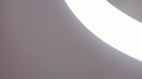 miller_silvana online show from April 18, 11:56 am