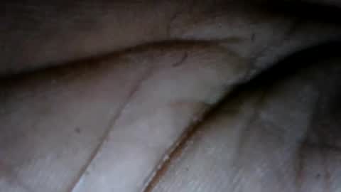 Wink online show from November 2, 10:48 am