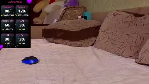 ................................ online show from November 6, 7:39 pm