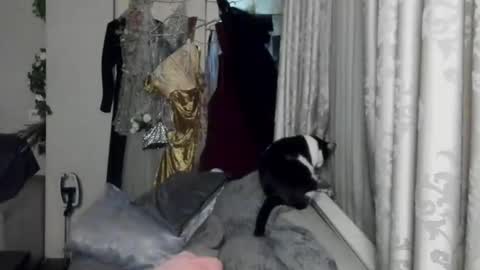 Mistress Lily Maria online show from December 20, 2:37 pm