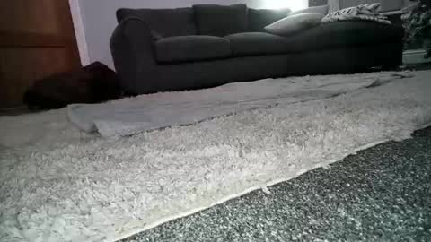 misterycouple12 online show from December 23, 12:25 am