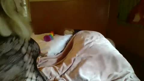 MichelleBunny7 online show from February 5, 6:48 pm