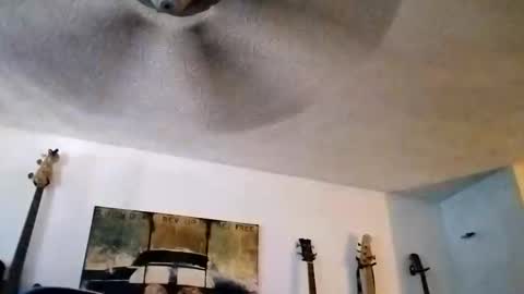 Snapshot of mitchnails69 chatting on September 14, 6:20 pm BobbyMitchGa online show from September 14, 6:20 pm