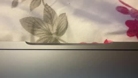 Snapshot of mj652617 chatting on October 28, 2:56 am Jlexis online show from October 28, 2:56 am