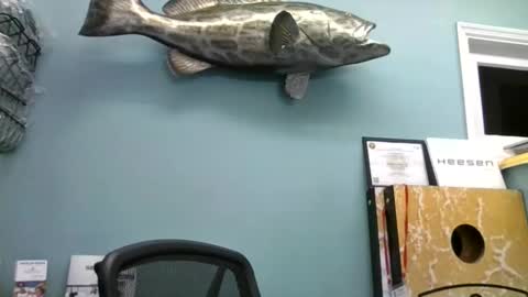 mjd666 online show from November 3, 7:59 pm