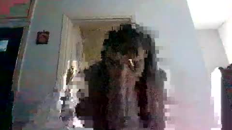Snapshot of mmpempis81 chatting on February 25, 6:47 am mmpempis81 online show from February 25, 6:47 am